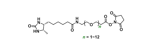 Desthiobiotin-NHS ester